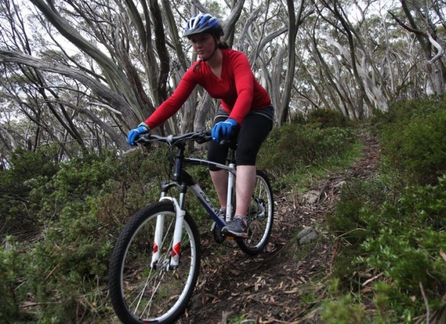 Vtt cross country dans les Vosges